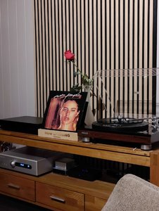 IMG20241119193025.jpg