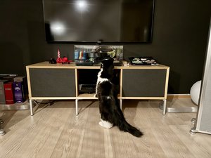 IMG_6929.jpeg