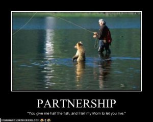 funny-pictures-bear-and-human-fish.jpg