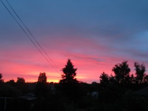 IMG_0616.JPG