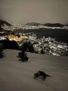 IMG_4858.jpeg