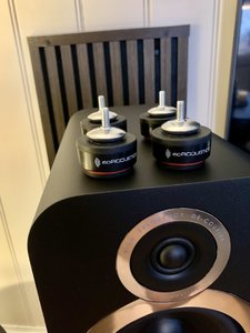 IMG_8517.jpeg