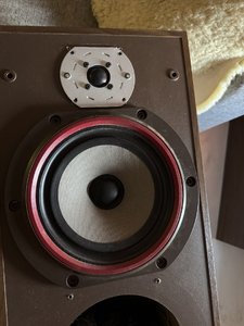 IMG_9614.jpeg