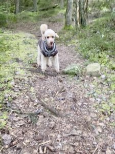 IMG_2503.jpeg