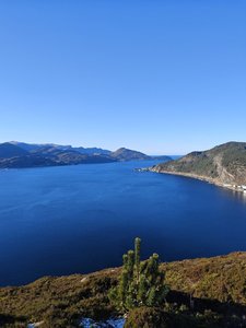IMG_20250215_115853.jpg