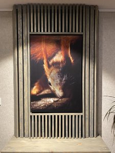 IMG_2526.jpeg