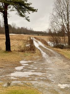 IMG_8934.jpeg