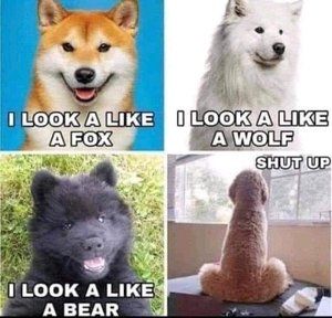 1000000655.jpg