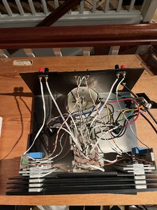 IMG_1553.jpeg