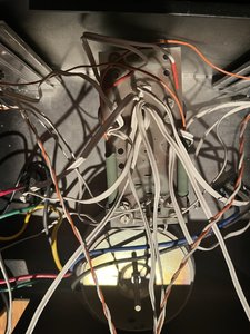 IMG_1560.jpeg