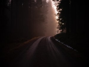 IMG_6495.jpeg