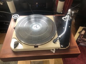 IMG_9230.jpeg