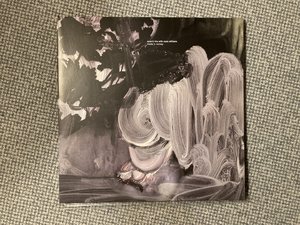 IMG_2206.jpeg