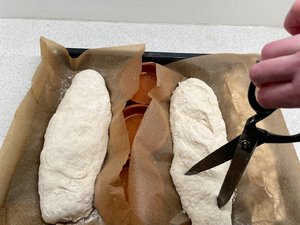 IMG_3363.jpeg
