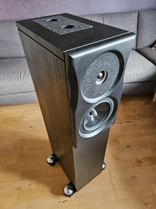 Neat Ultimatum XL6 (2).jpg