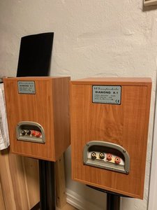 IMG_2317.jpeg