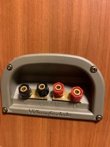 IMG_2319.jpeg