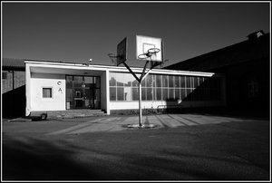 IMG_4832.jpeg