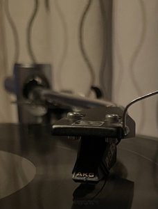 IMG_5103.jpeg