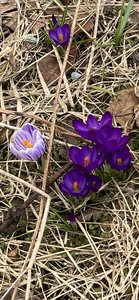 IMG_9945.jpeg