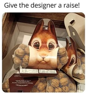 cztg8969q0re1.jpeg
