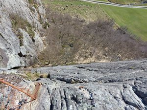 20250404_160057.jpg