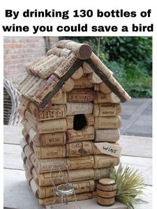 FB_IMG_1743853064263.jpg