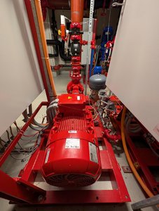 PXL_20250406_104846439.jpg