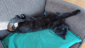 20250409_165641.jpg