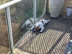 IMG_0122.jpeg