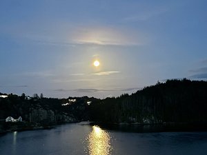 IMG_0137.jpeg