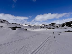 IMG_8418.jpeg