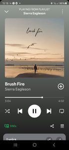 Screenshot_20250417_151808_Spotify.jpg