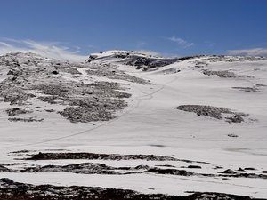 IMG_8454.jpeg