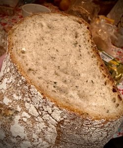 IMG_8686.jpeg