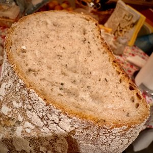 IMG_8685.jpeg
