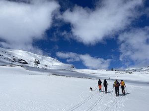 IMG_5172.jpeg