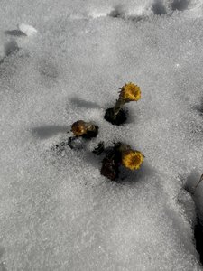 IMG_7897.jpeg
