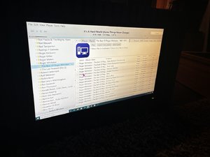 IMG_1307.jpeg