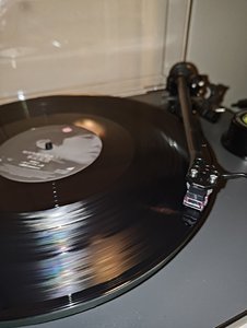 P_20250428_224142.jpg