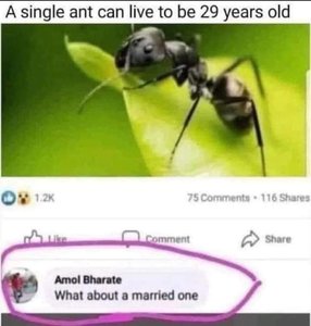 IMG_8716.jpeg