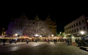 IMG_4234.jpeg
