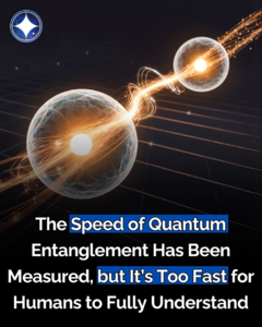 1746493482716.png