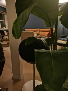 IMG_20250510_024933.jpg