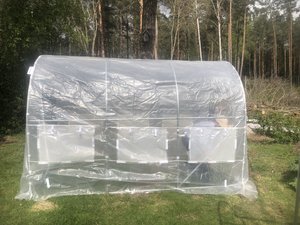 IMG_9565.jpeg