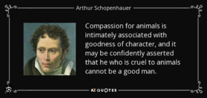 1747121863769.png