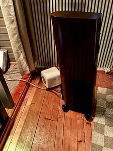 IMG_1341.jpeg