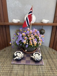IMG_1345.jpeg