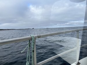 IMG_5748.jpeg
