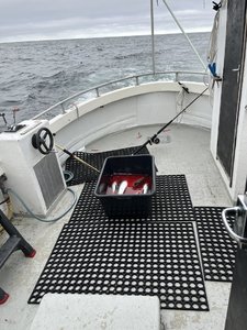 IMG_5749.jpeg